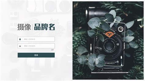 摄影网站登录注册页面|网页|企业官网|飞飞芃芃_原创作品-站酷ZCOOL