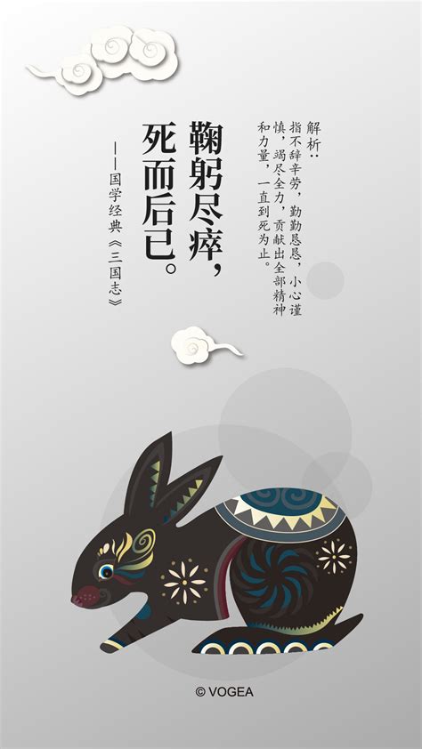 十二生肖国学系列之兔|插画|插画习作|奉全文化 - 原创作品 - 站酷 (ZCOOL)