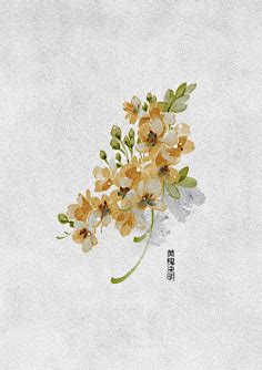 zhiwu-花瓣网|陪你做生活的设计师 | 《锦卉》黄色系