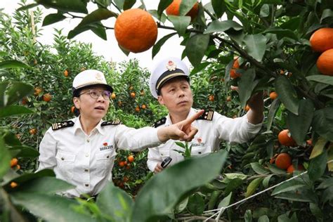云南省一季度外贸高速增长特色农产品畅销海外
