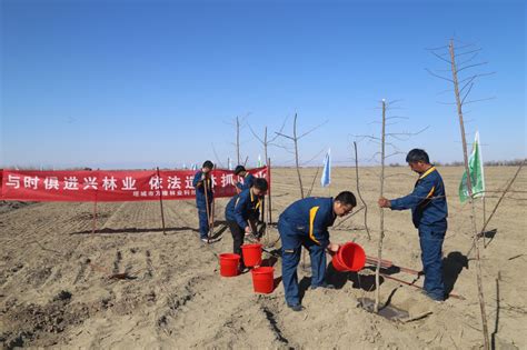 华能新疆塔城老风口50兆瓦风电项目顺利开工-国际风力发电网
