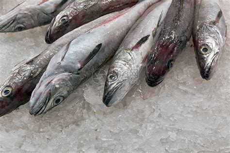 鲜鱼盐水海洋海鲜食物摊位餐厅市场销售渔业店铺高清图片下载-正版图片320876099-摄图网
