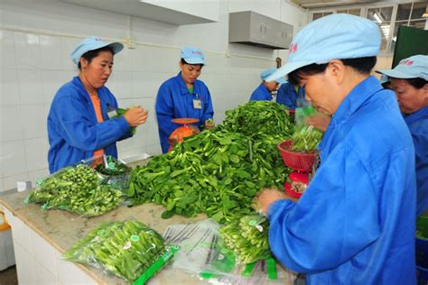 蔬菜配送【价格 批发 公司】-上海康强餐饮管理有限公司