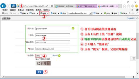 大熊猫优化下载网站推广-搜易达网站推广智能大师下载v2.036 安装版-当易网
