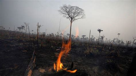 亚马逊雨林连烧三周无人管？巴西：烧成灰也不关你事！_手机新浪网