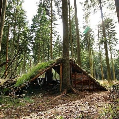 荒野建造生存庇护所，小哥2天在树林里打造小木屋_高清1080P在线观看平台_腾讯视频