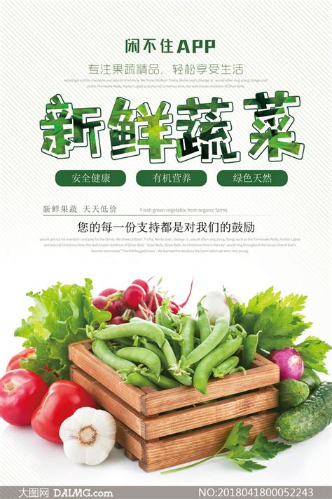有机蔬菜单品展示 - 北京北菜园农业科技发展有限公司