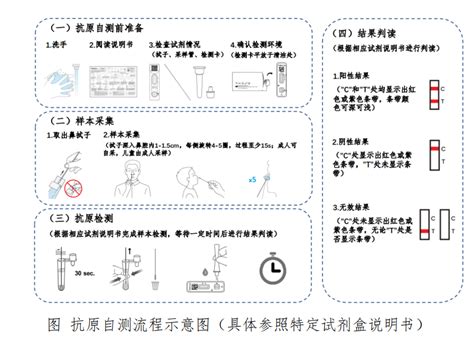 自测新冠病毒抗原使用指引步骤及提示_深圳之窗