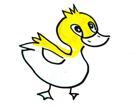 儿童手工DIY简笔画大全 卡通动物之小鸭子填色 肉丁儿童网