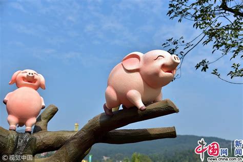 广东：500头猪营造春节气氛 “母猪上树”成网红景点_新闻中心_中国网