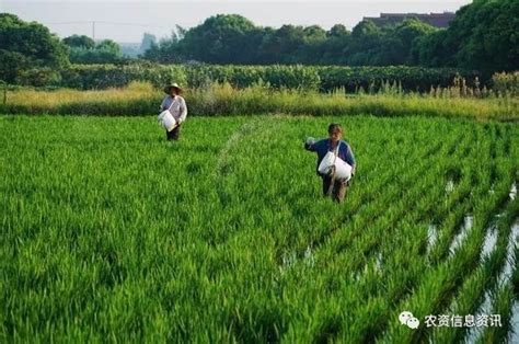 农民专业合作社陆续恢复农业生产 图片 | 轩视界