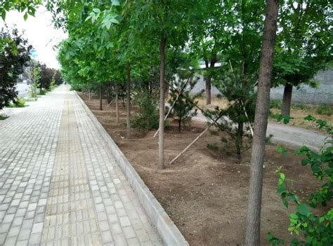 公园里_安徽沃东市政园林工程有限公司