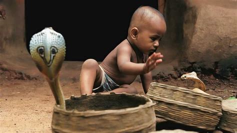 印度蛇村，小孩把眼镜蛇当宠物，没人敢和他们玩！_腾讯视频