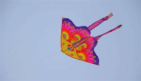 直径15米网红大风筝亮相安徽芜湖，10多个人合力才能放飞|风筝|滚地龙|芜湖市_新浪新闻