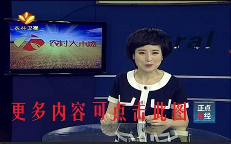 陕西农林卫视直播在线观看_正点财经-正点网