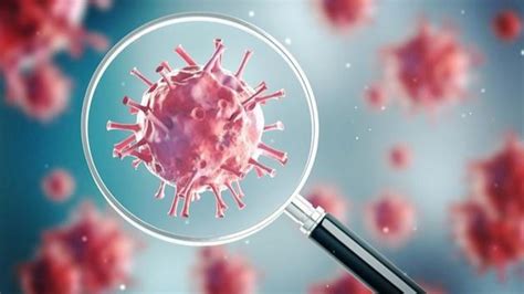 法国发现“极为罕见”变异新冠病毒，近50人感染，当地开展紧急接种 | 每经网