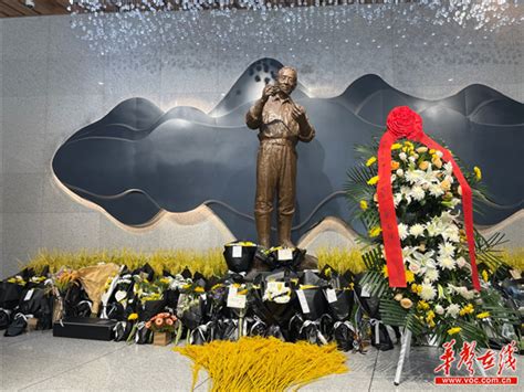袁隆平逝世 母校西南大学师生在其雕像前献花寄哀思
