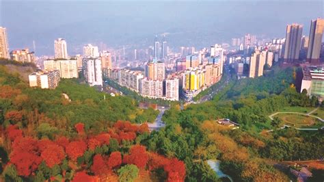 提升功能品质丨重庆市涪陵区长涪汇建设项目优化存量片区功能 | 每经网