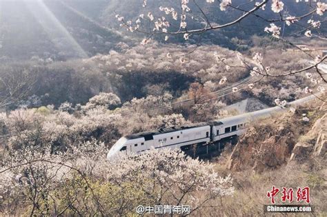 开往春天的列车 - 四川省家居产业协会