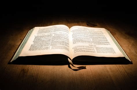 圣经中约柜里有什么