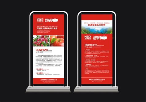 西充县旅游宣传画册设计 - 画册设计 - 公司宣传片