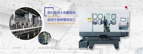 ZM-WSZ-100-众迈厂家张家港生姜清洗污水处理设备定制-天津市众迈环保设备科技有限公司
