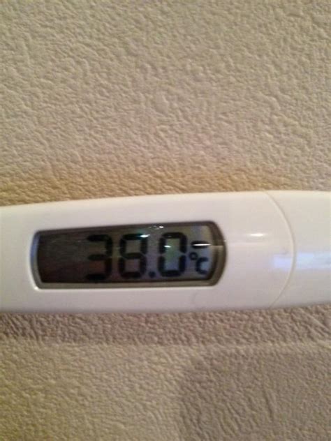 求一张发烧温度计实拍 我是女的 谢谢 高分送上 我家没有温度计 我要去装病请假