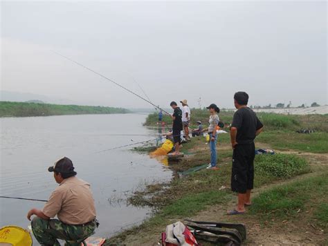 野钓之弹钓技法在不同河道的应用 - 钓鱼之家