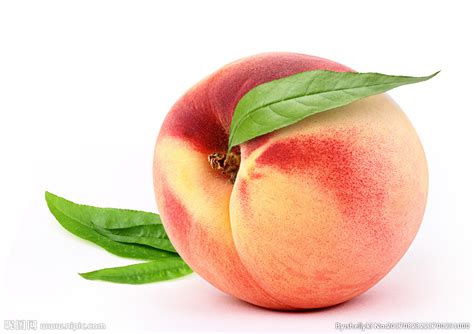黄桃桃子夏季水果手绘元素元素素材下载-正版素材401365483-摄图网
