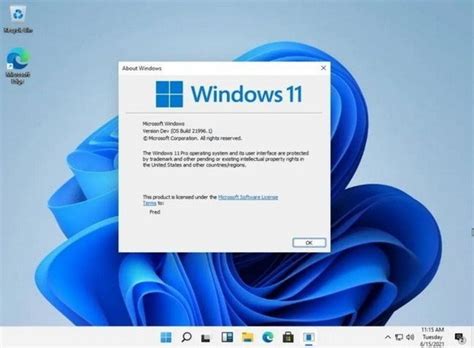 windows11家庭版下载_windows11家庭版v1.0免费下载-皮皮游戏网