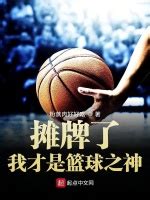 《篮坛之我真不是刷子》小说在线阅读-起点中文网