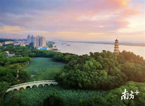 明城镇获准创建2022年国家级农业产业强镇 - 高明区人民政府