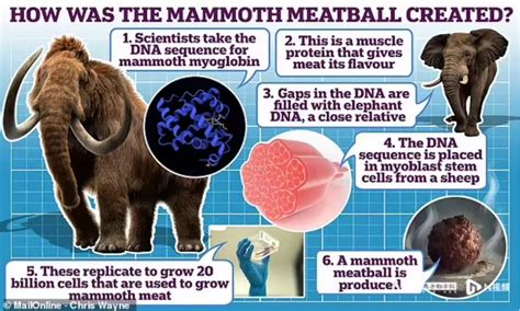 逆天！🤯外国科学家用4000年前的猛犸象DNA培育了一颗肉丸-直播吧