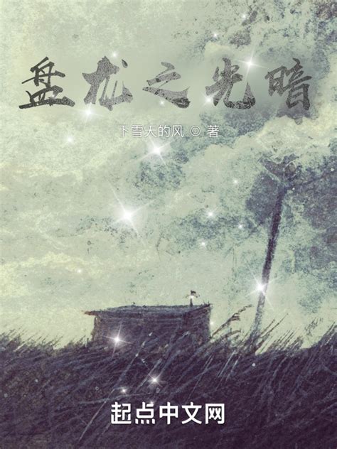 《盘龙之光暗》小说在线阅读-起点中文网