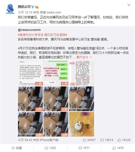 中国在英留学生被指虐猫 学联称将等待警方调查_手机新浪网