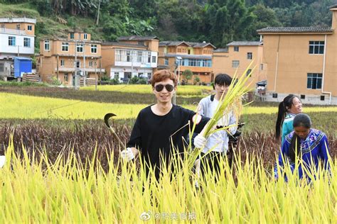 今天和朋友们到册亨县高峰村体验亲自下稻田割稻子，打谷子|谷子|册亨县|稻子_新浪新闻
