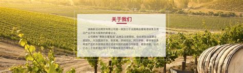 星座集团发布三季报 葡萄酒及烈酒下降10.3%:葡萄酒资讯网（www.winesinfo.com）