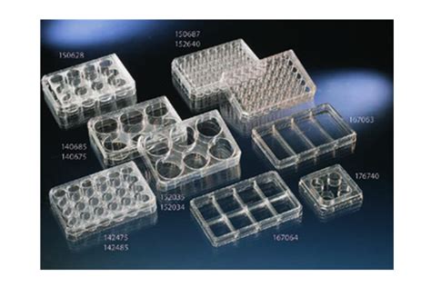 Nunc 多孔细胞培养板 Nunclon Δ表面-杭州晓柚生物科技有限公司