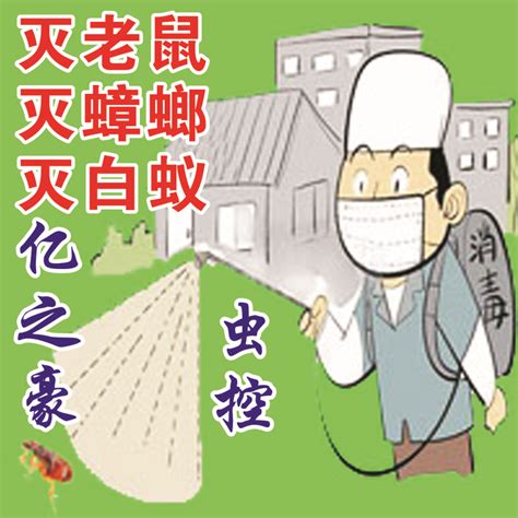 杭州灭白蚁公司4种简单有效的白蚁防治方法_嘉洁森环境