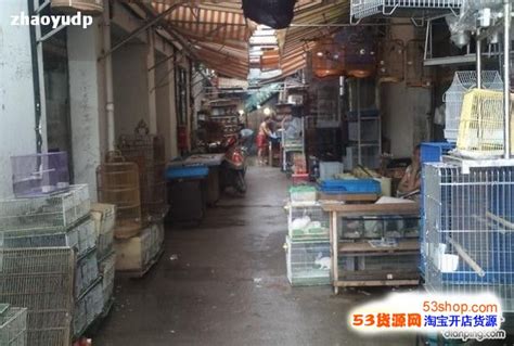 【上海万商花鸟市场】地址在哪里怎么走_上海万商花鸟市场拿货攻略_营业时间几点开门_53货源网