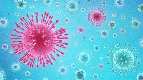 法国发现“极为罕见”变异新冠病毒，近50人感染，当地开展紧急接种 | 每日经济网