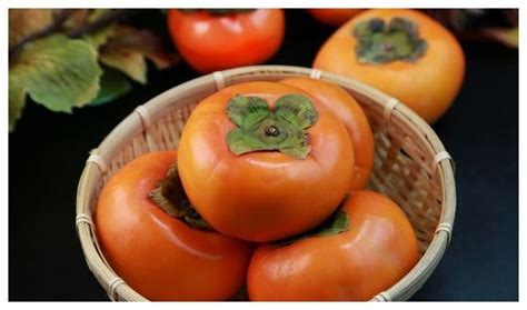 今日霜降，宜吃柿子 | 细数红柿的营养和禁忌 - 生活信息 - 新欧洲 - 战斗在法国