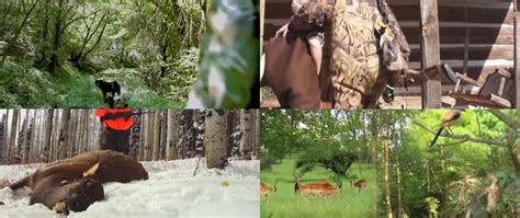 丛林猎人捕猎狩猎视频素材,延时摄影视频素材下载,高清1920X810视频素材下载,凌点视频素材网,编号:114788