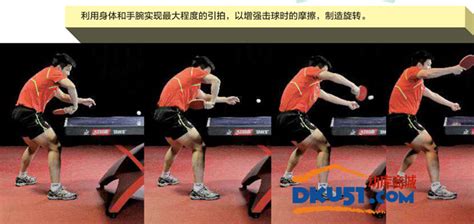樊振东：发球后反手拧拉乒乓球技术（图解） - 动库商城