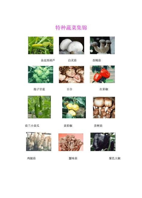 蔬菜集合-快图网-免费PNG图片免抠PNG高清背景素材库kuaipng.com