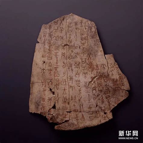国家宝藏 100件文物讲述中华文明史 让国宝活起来 高清文物图片带你与国宝近距离接触 - PDFKAN