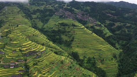贵州丹寨：高标准农田建设施工忙-人民图片网