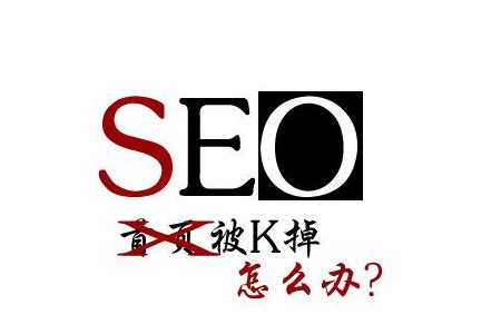 企业网站优化越来越难做之网站被K怎么办 - 杭州思亿欧网络科技股份有限公司