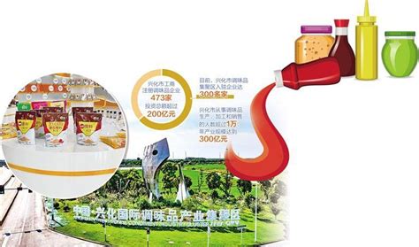 走进县城看发展丨江苏省兴化市：建设国际调味品产业集聚区_生产的_食品_企业
