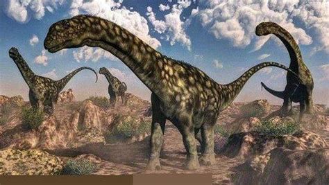 世界最大的十大恐龙 阿根廷龙位列榜首，高度达35米_动物之最_第一排行榜